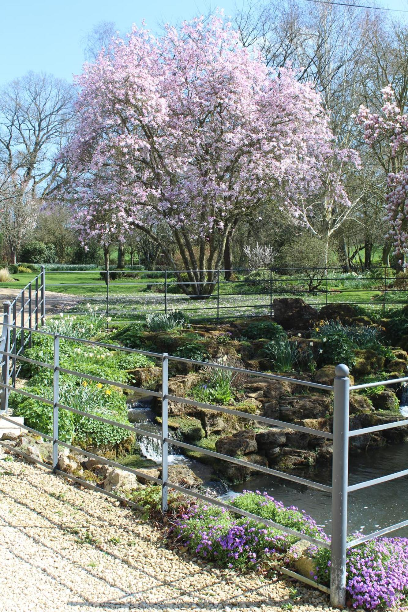 Hewletts Mill Guest House คาสเซิลคารี ภายนอก รูปภาพ
