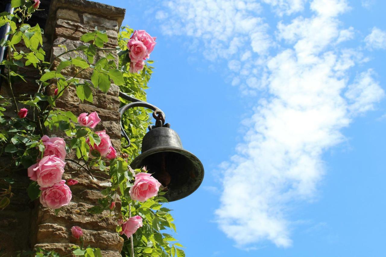 Hewletts Mill Guest House คาสเซิลคารี ภายนอก รูปภาพ