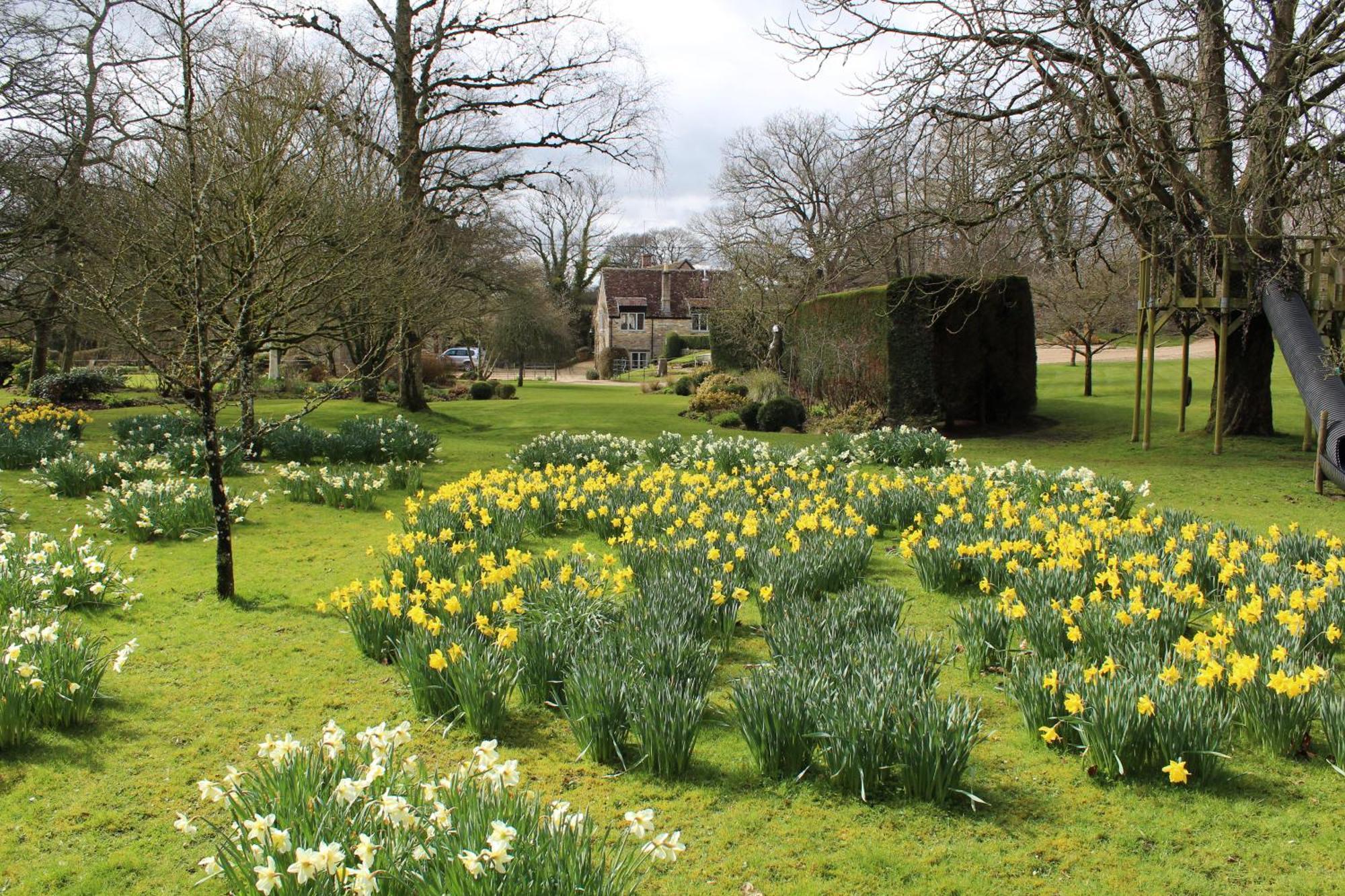 Hewletts Mill Guest House คาสเซิลคารี ภายนอก รูปภาพ